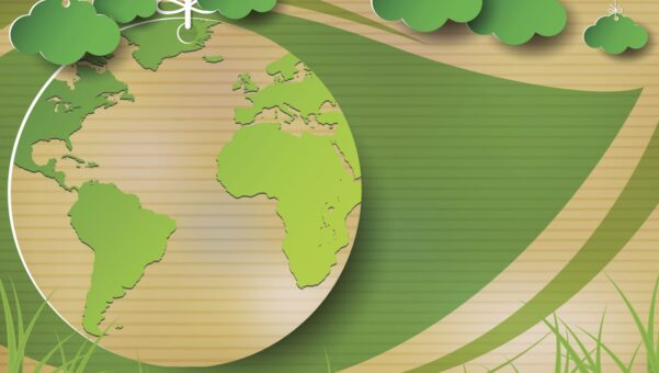 Environmentally Friendly Shipping Practices for Socially Conscious Businesses