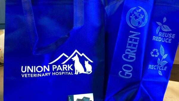 Eco Friendly Bags – Good For Business and Environment