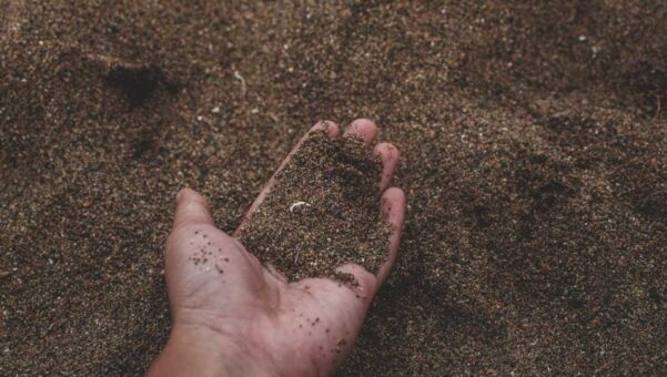 The Difference Between Compostable and Biodegradable Packaging