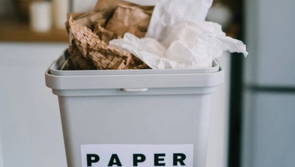 How to Reduce Carbon Footprint with Sustainable Packaging