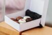 cookie gift box with a lid